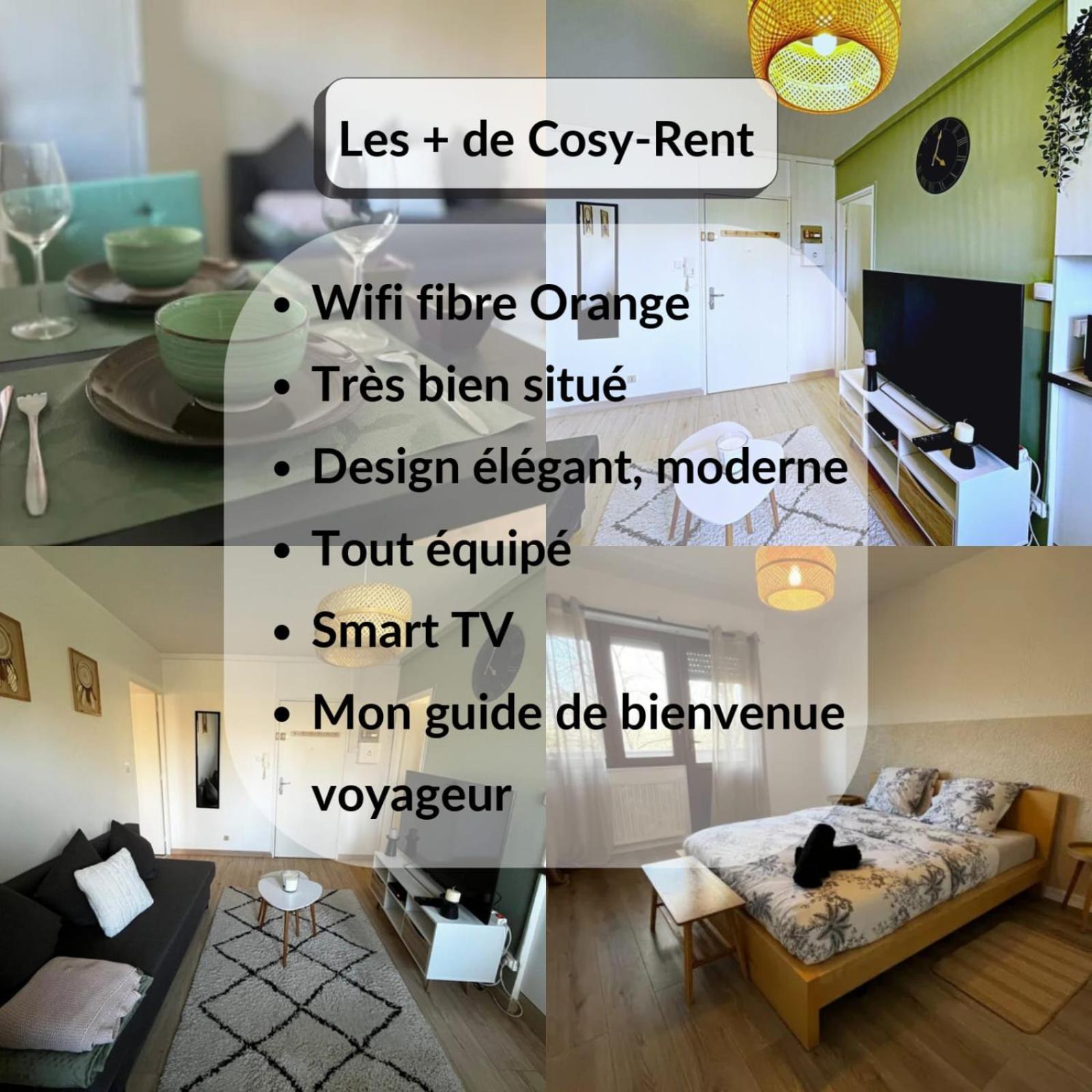 Cosy Rent Strasbourg Appartement Wifi Terrasse Extérieur photo